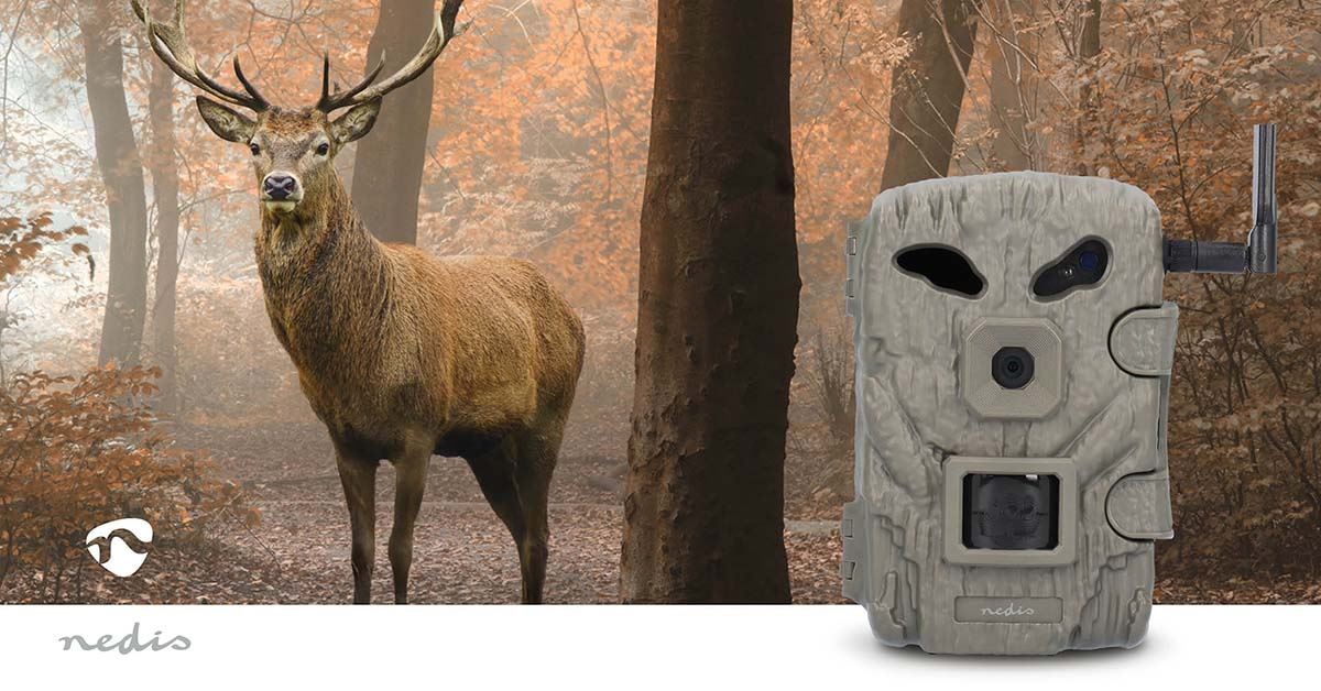 Nedis Wildlife Camera | 4G | 1080p@30fps | 30.0 MPixel | 2 MPixel CMOS | IP66 | 4G | Black No-Glow IR | Night vision | Viewing angle: 50 ° | Motion sensor | Detection angle: 50 ° | Detection range: 20 m | LCD Screen | Green