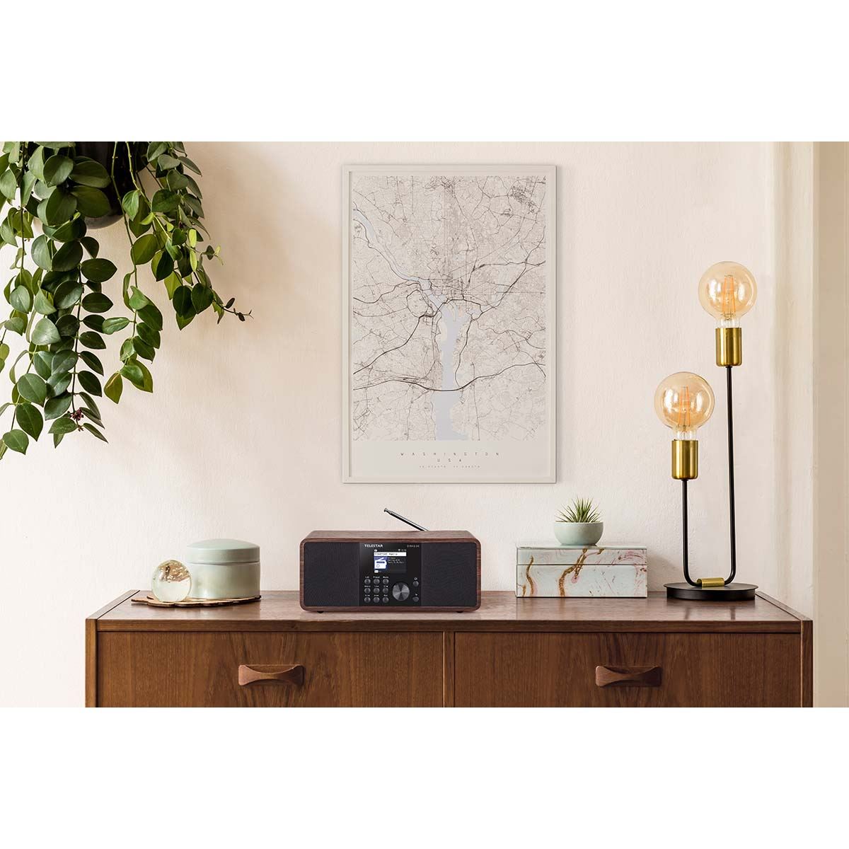 Telestar DIRA S 24i Multifunctional Stereo Radio DAB+ / FM / Internet / Bluetooth Wood