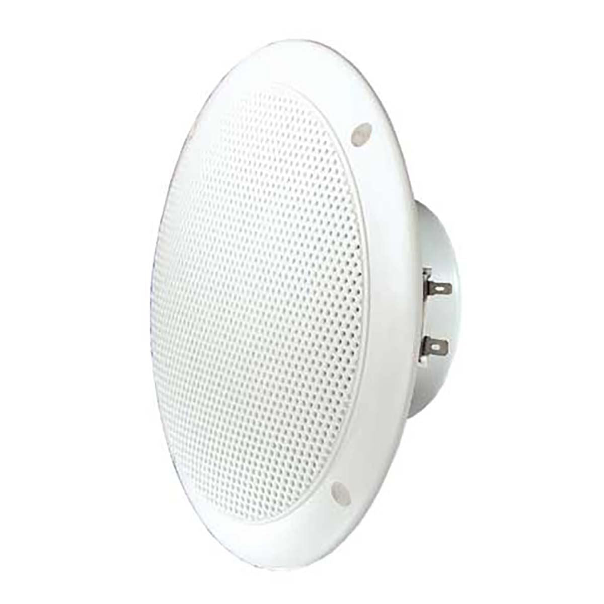 Visaton FR 16 WP - 4 Ohm (white) - Saltwater resistant 16 cm (6.5") full-range speaker