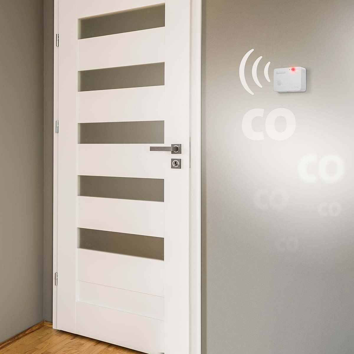 Alecto COA1910 Carbon monoxide Alarm with 10 year Sensor Runtime