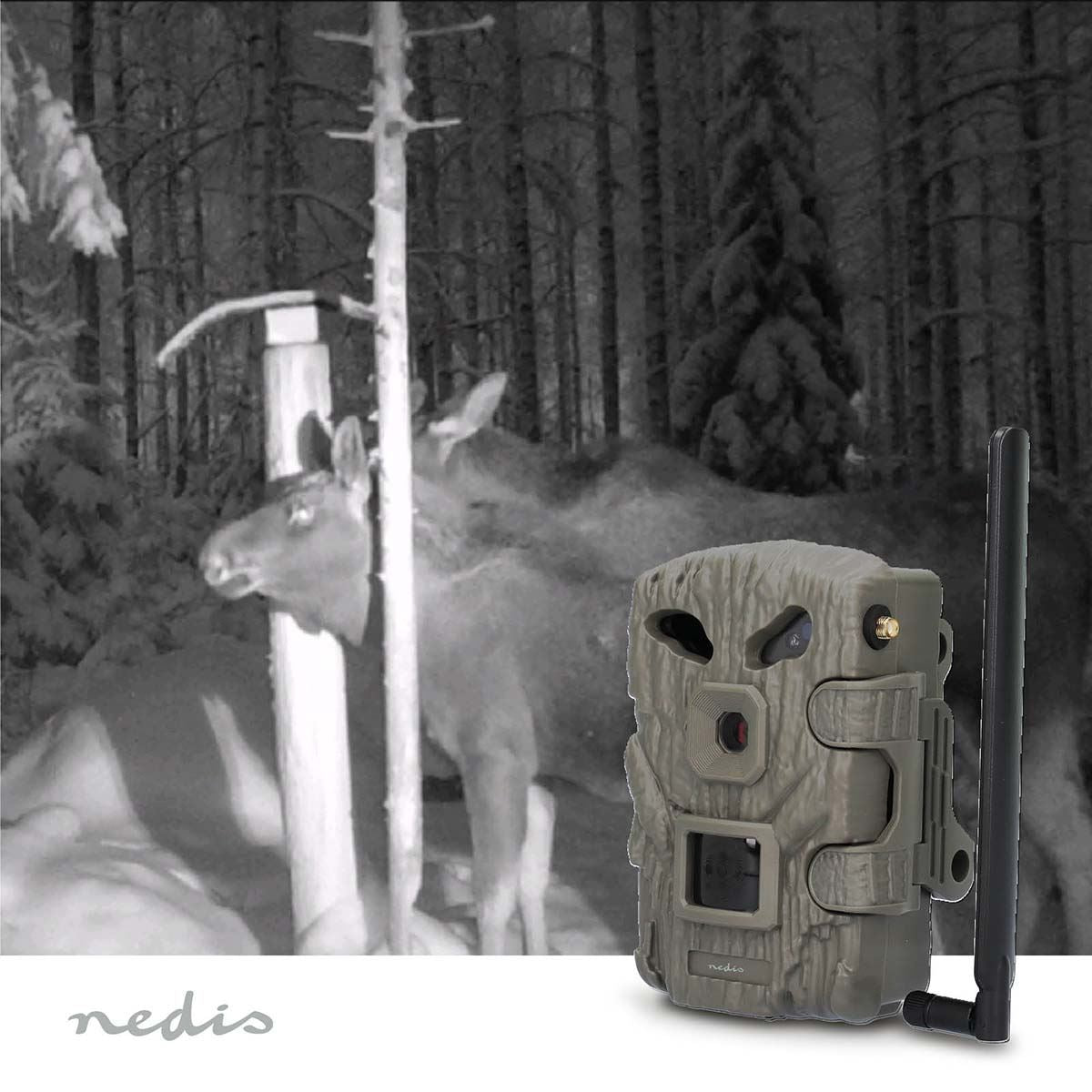 Nedis Wildlife Camera | 4G | 1080p@30fps | 30.0 MPixel | 2 MPixel CMOS | IP66 | 4G | Black No-Glow IR | Night vision | Viewing angle: 50 ° | Motion sensor | Detection angle: 50 ° | Detection range: 20 m | LCD Screen | Green