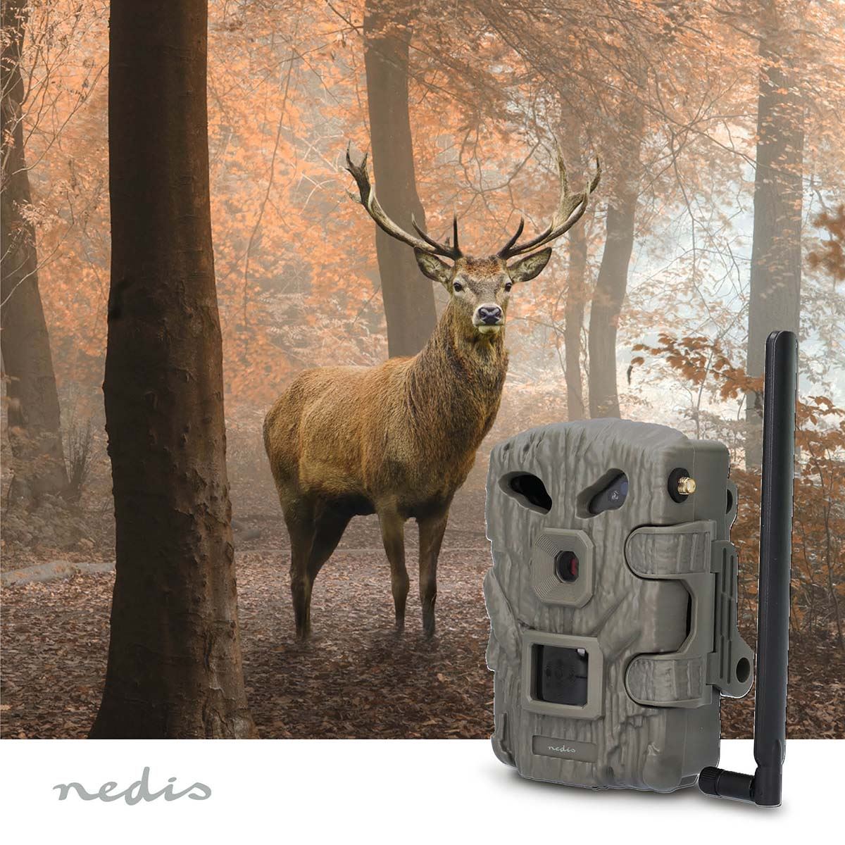 Nedis Wildlife Camera | 4G | 1080p@30fps | 30.0 MPixel | 2 MPixel CMOS | IP66 | 4G | Black No-Glow IR | Night vision | Viewing angle: 50 ° | Motion sensor | Detection angle: 50 ° | Detection range: 20 m | LCD Screen | Green