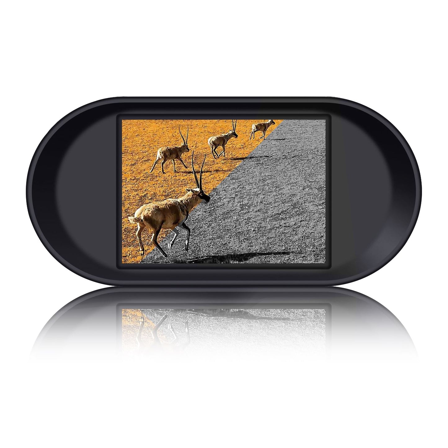 Lenco NVB-010BK | Night Vision Camera | with Photo and Video recording