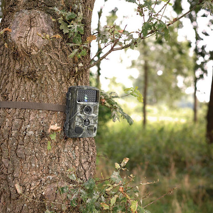 Nedis Wildlife Camera | 1080p@30fps | 16.0 MPixel | 5 MPixel CMOS | IP56 | Black No-Glow IR | Night vision | Viewing angle: 90 ° | Motion sensor | Detection angle: 120 ° | Detection range: 20.0 m | Screen size: 2.4 " | LCD Screen | Brown/Green