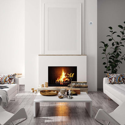 Alecto SMARTCOA10 Smart Carbon Monoxide Detector