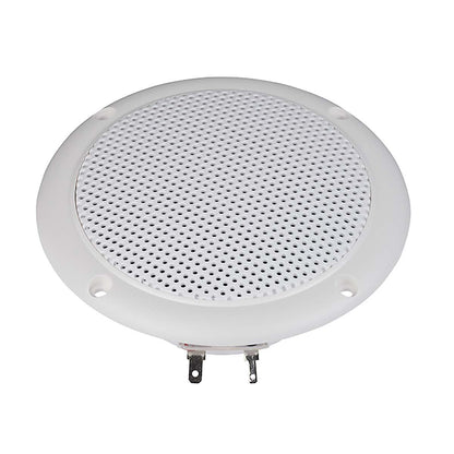 Visaton FR 10 WP - 4 Ohm (white) - Saltwater resistant 10 cm (4") full-range driver