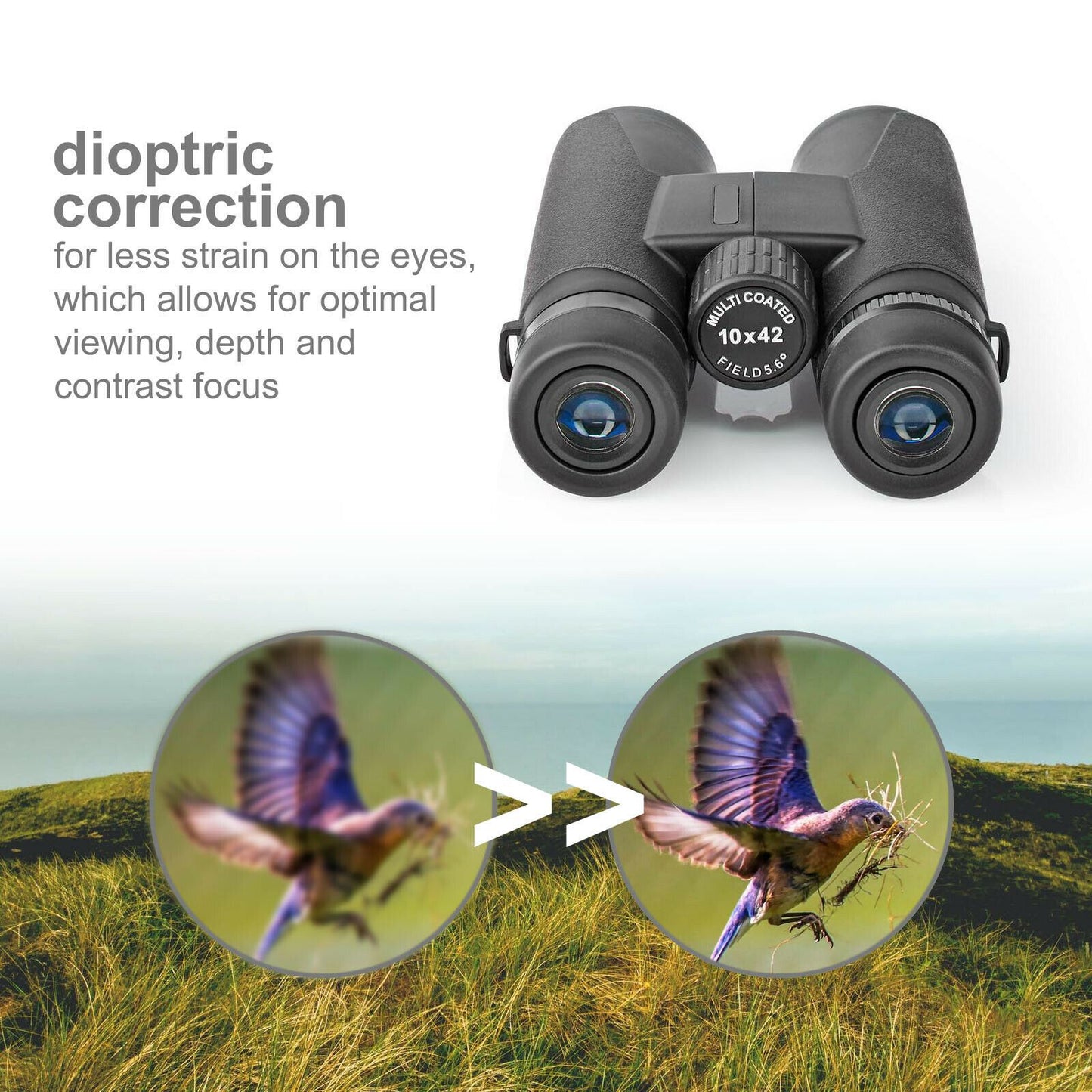 Nedis Binocular | Magnification: 10 x | Objective lens diameter: 42 mm | Field of view: 96 m | Travel bag included | Black