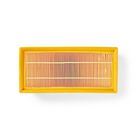 Nedis Vacuum Cleaner Motor Filter | Replacement for: Kärcher | NT 65/2 Eco / NT 65/2 Eco Me / NT 65/2 Eco Tc